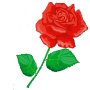 Rose rouge_j0434842_50